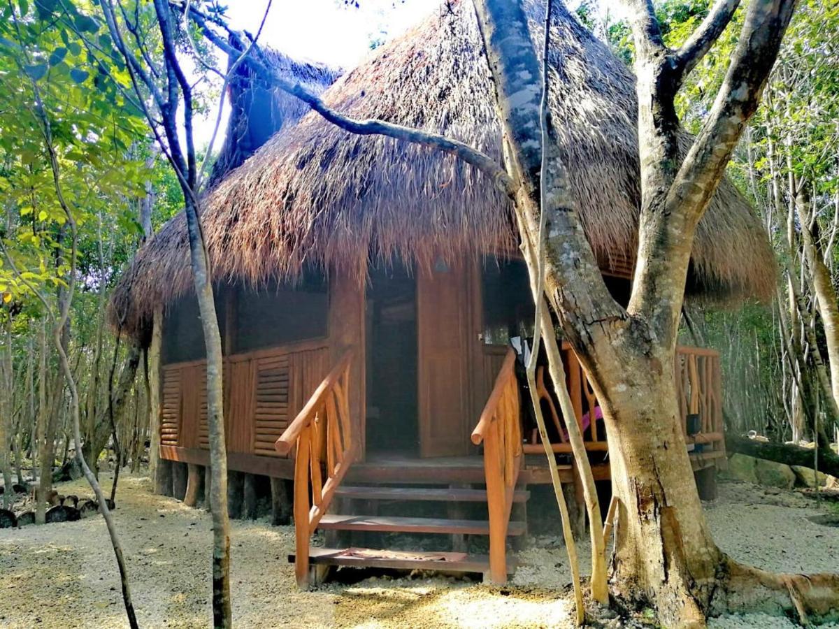 Aldea Maya-Ha Cabanas Con Cenotes ปัวร์โตโมเรลอส ภายนอก รูปภาพ