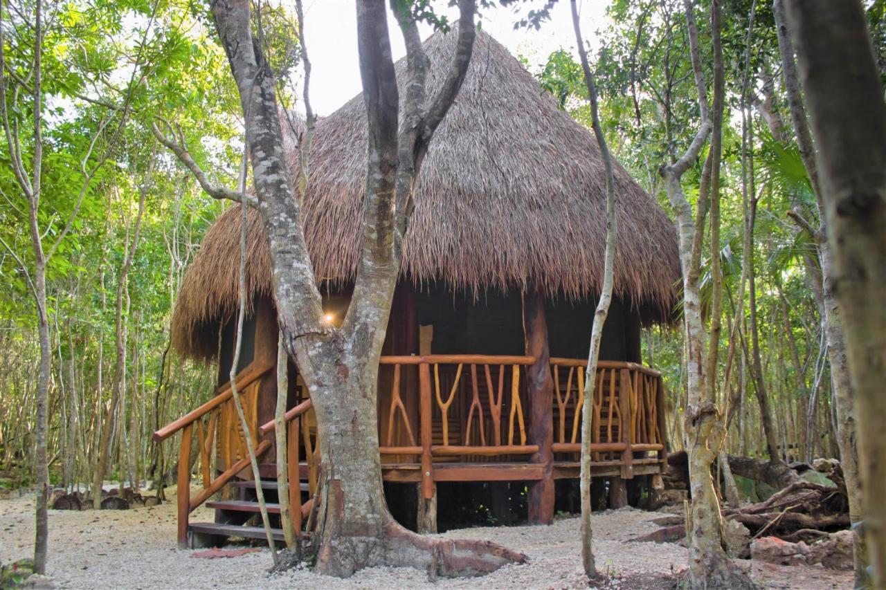Aldea Maya-Ha Cabanas Con Cenotes ปัวร์โตโมเรลอส ภายนอก รูปภาพ