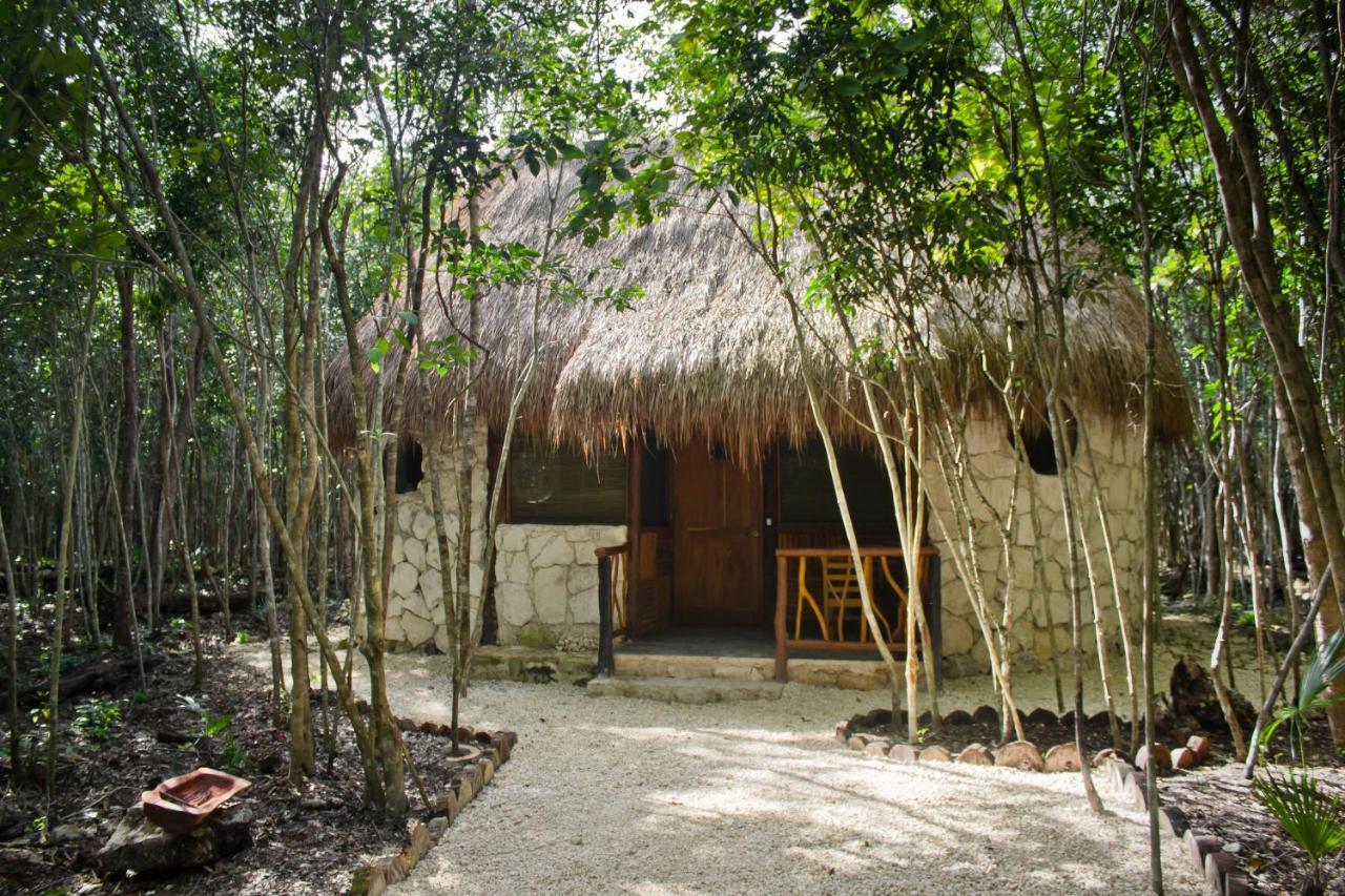 Aldea Maya-Ha Cabanas Con Cenotes ปัวร์โตโมเรลอส ภายนอก รูปภาพ
