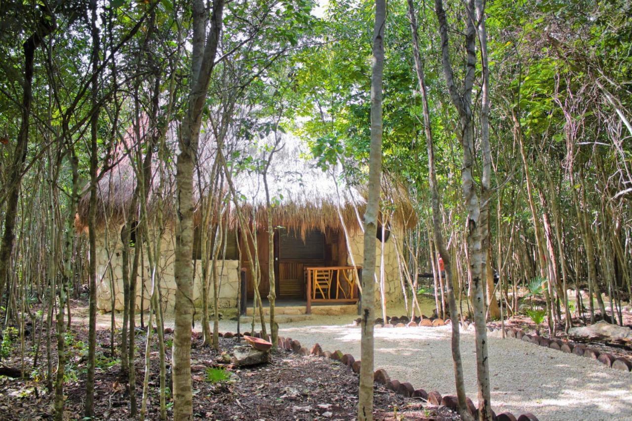 Aldea Maya-Ha Cabanas Con Cenotes ปัวร์โตโมเรลอส ภายนอก รูปภาพ