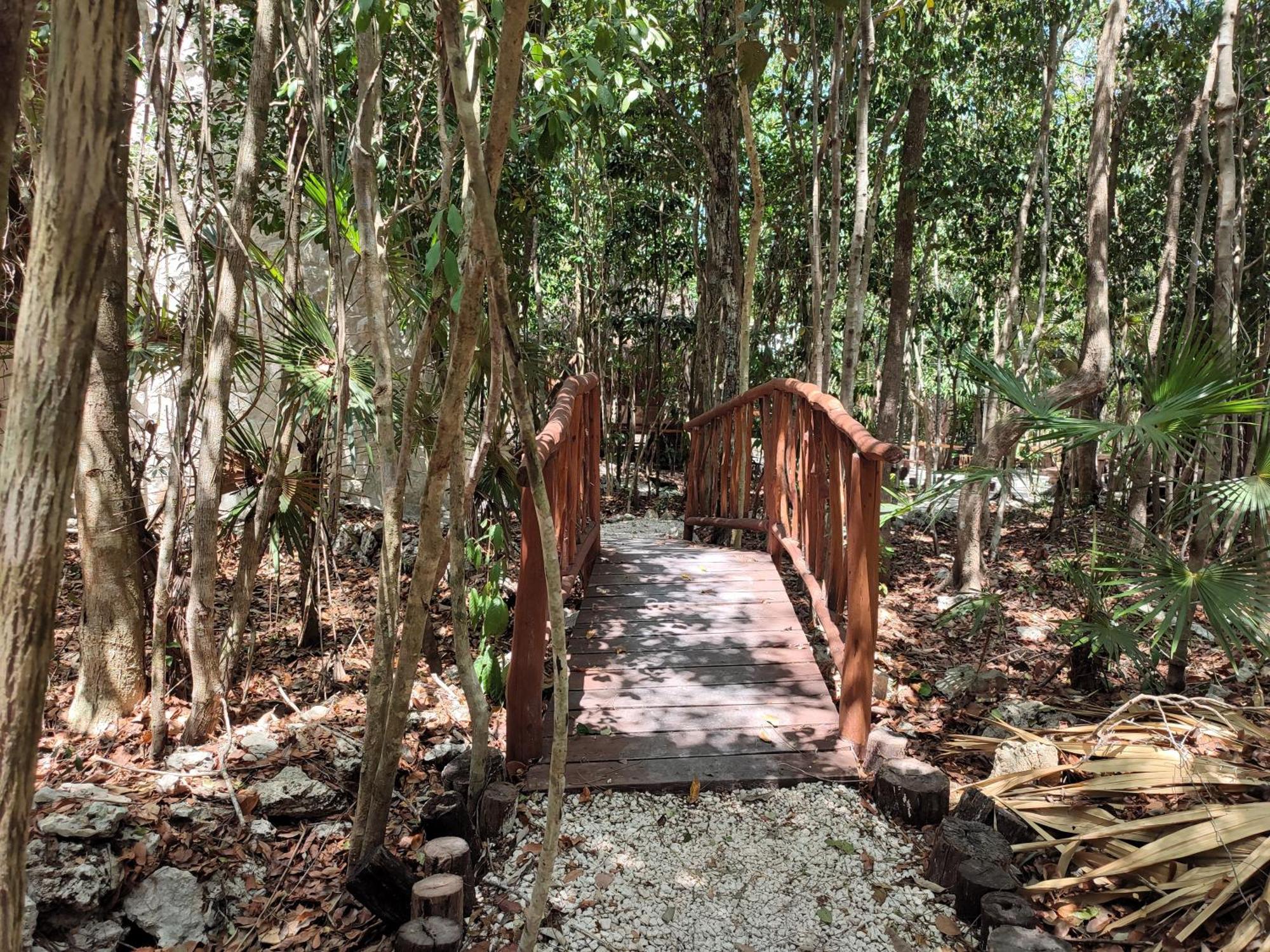 Aldea Maya-Ha Cabanas Con Cenotes ปัวร์โตโมเรลอส ภายนอก รูปภาพ