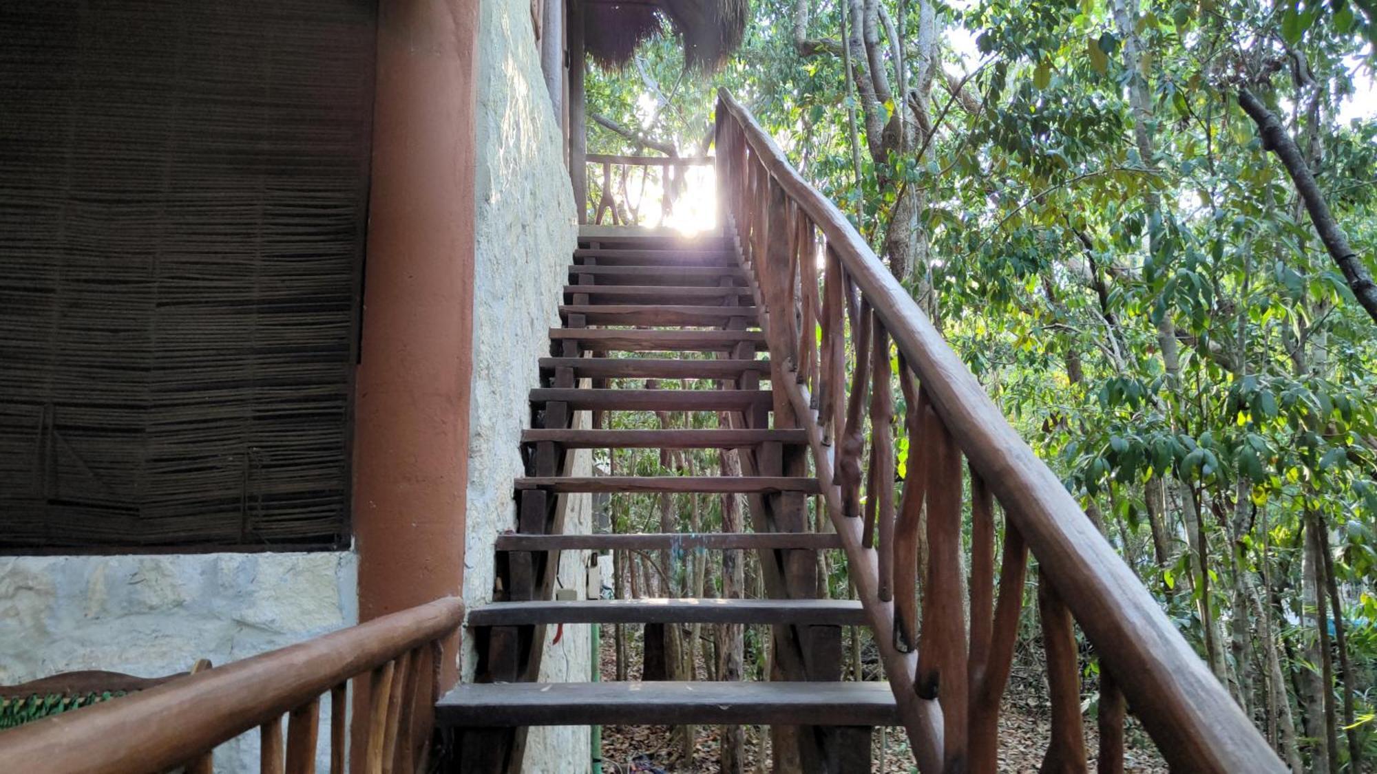 Aldea Maya-Ha Cabanas Con Cenotes ปัวร์โตโมเรลอส ภายนอก รูปภาพ