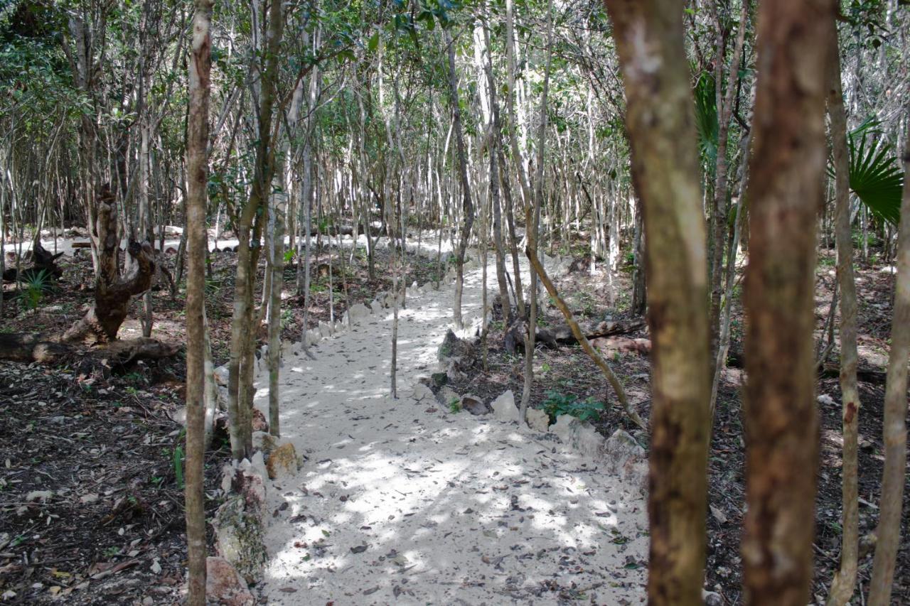 Aldea Maya-Ha Cabanas Con Cenotes ปัวร์โตโมเรลอส ภายนอก รูปภาพ