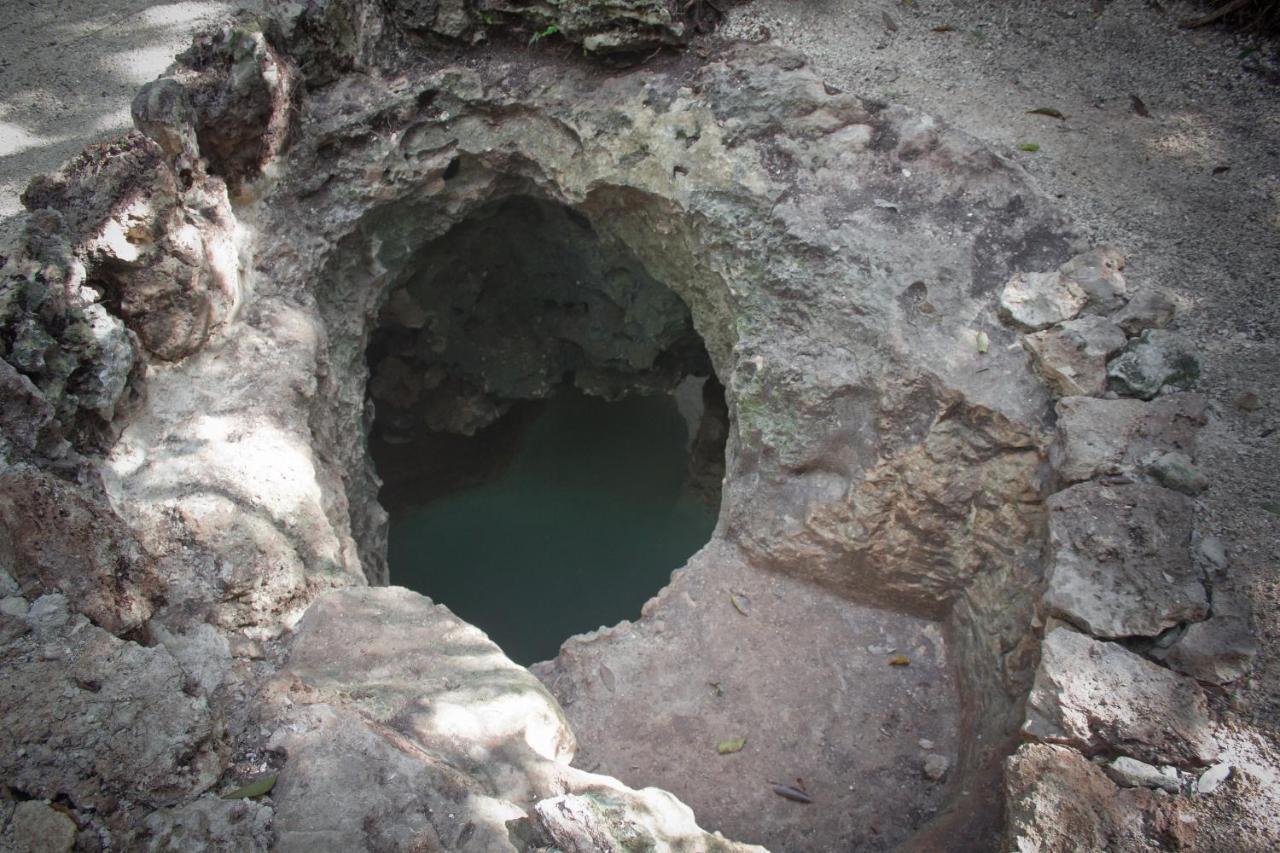 Aldea Maya-Ha Cabanas Con Cenotes ปัวร์โตโมเรลอส ภายนอก รูปภาพ