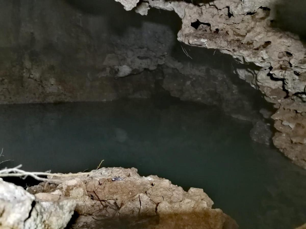 Aldea Maya-Ha Cabanas Con Cenotes ปัวร์โตโมเรลอส ภายนอก รูปภาพ