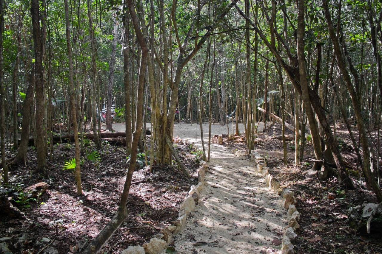 Aldea Maya-Ha Cabanas Con Cenotes ปัวร์โตโมเรลอส ภายนอก รูปภาพ